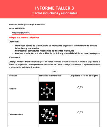 INFORME-TALLER-31-1.pdf