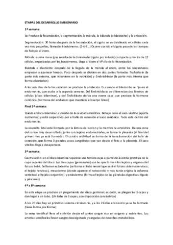 ETAPAS DEL DESARROLLO EMBIONARIO.pdf