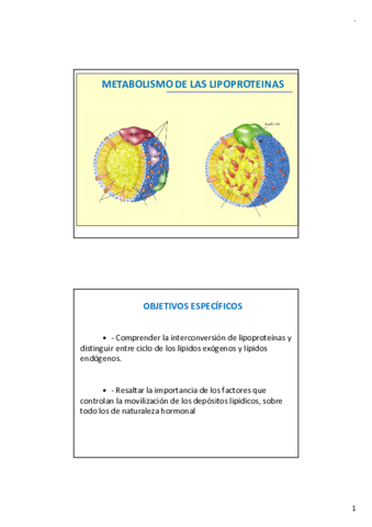 TEMA-3-METABOLISMO-LIPIDOS-PARTE-III.pdf