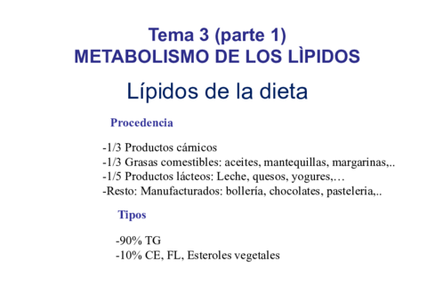 TEMA-3-METABOLISMO-LIPIDOS-PARTE-I.pdf