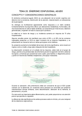 TEMA-20.pdf
