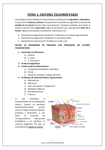 TEMA-1-ALTERACIONES-EN-EL-SISTEMA-TEGUMENTARIO.pdf