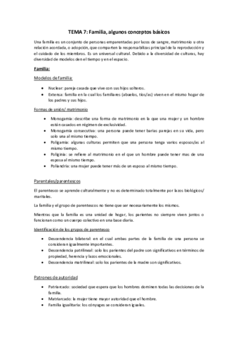 TEMA-7.pdf