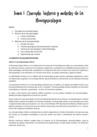 Neuropsicologia-COMPLETOS-2020.pdf