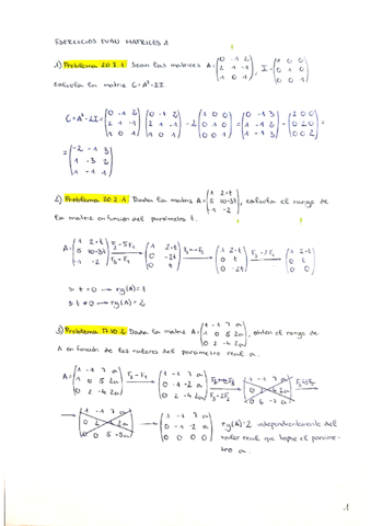 EVAU-Matrices-I.pdf