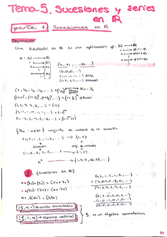 Calculo-I-tema-5.pdf
