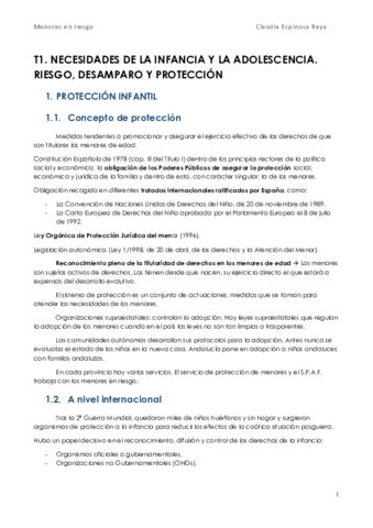 T1-Menores.pdf