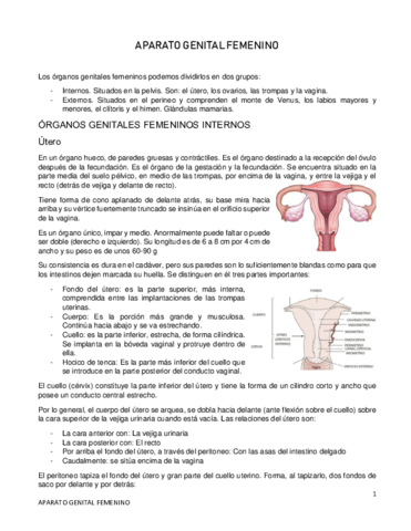 APARATO-GENITAL-FEMENINO.pdf