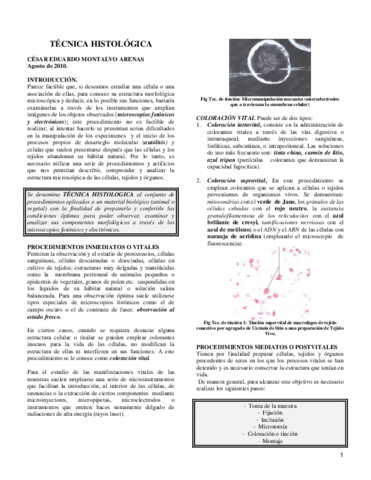 3tecnicahistologica.pdf