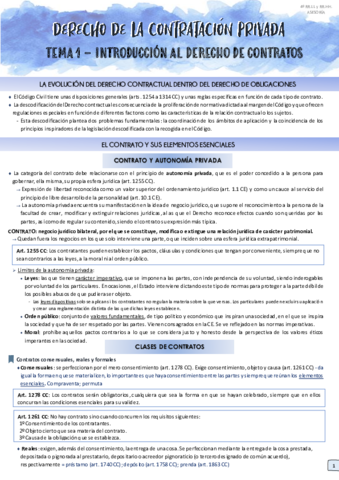 RESUMEN-T1.pdf