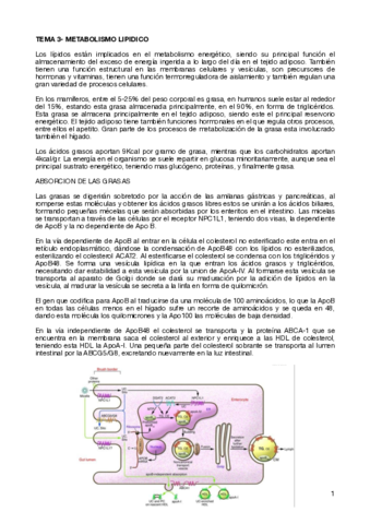 TEMA-3-METABOLISMO-LIPIDICO.pdf