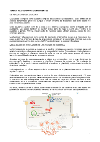 TEMA-2-VIAS-SENSORAS-DE-NUTRIENTES.pdf
