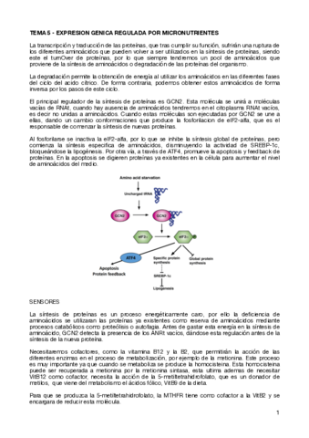 TEMA-5-EXPRESION-GENICA-REGULADA-POR-MICRONUTRIENTES.pdf