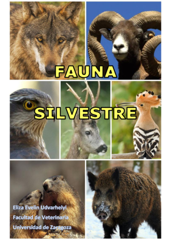 FAUNA-SILVESTRE-2020.pdf