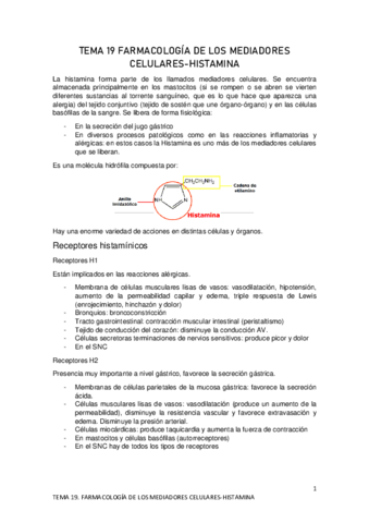 TEMA-19.pdf