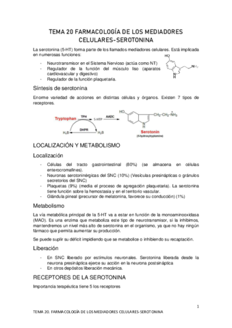TEMA-20.pdf
