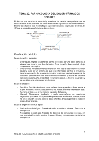 TEMA-22.pdf