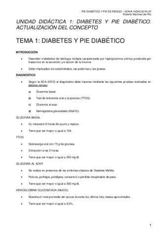 Pie-diabetico-Roberto.pdf