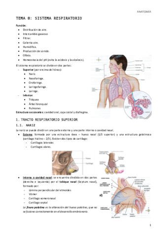 Tema-8-Sistema-Respiratorio.pdf