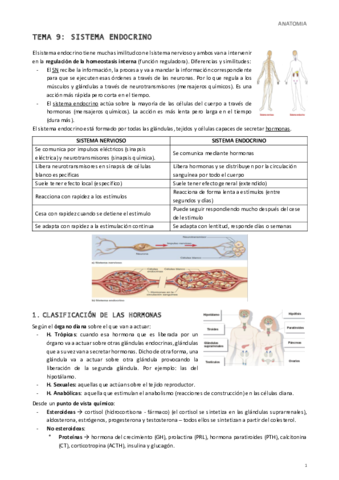 Tema-9-Sistema-Endocrino.pdf