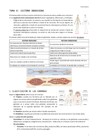 Tema-9-Sistema-Endocrino.pdf