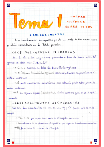 Tema1.pdf
