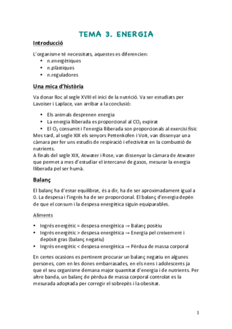 Tema-3-Energia-.pdf