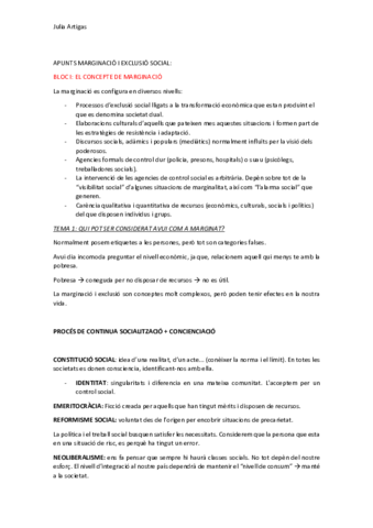 APUNTS-MARGINACIO-I-EXCLUSIO-SOCIALJulia.pdf