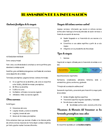 TRANSMISION-DE-LA-INFORMACION.pdf