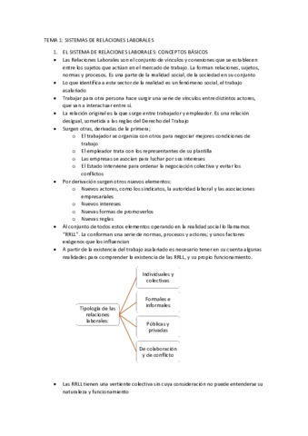 TEMAS-SISTEMAS-COMPARADOS-RRHH.pdf