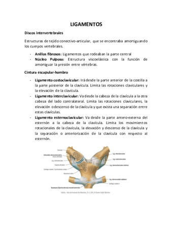 Apuntes-Ligamentos-CEU.pdf