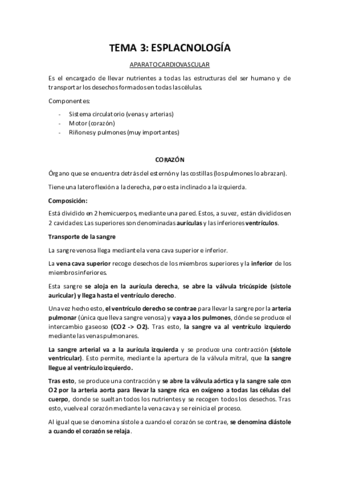 TEMA-3-ANATOMIA-CEU.pdf