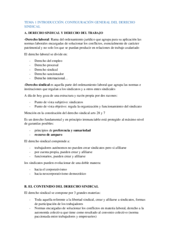 Temas-Derecho-Sindical.pdf