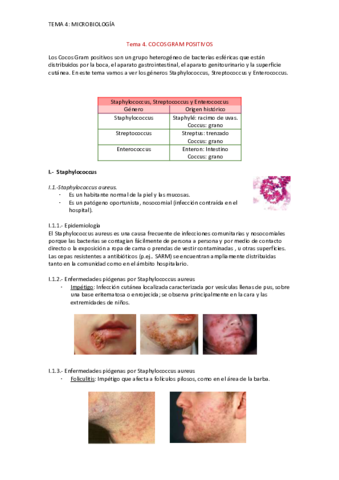 Tema-4-apuntes-microbiologia-1.pdf