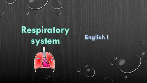 Respiratory-System.pdf
