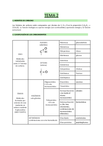 TEMA-2-Biomoleculas-organicas-hidratos-de-carbono-.pdf