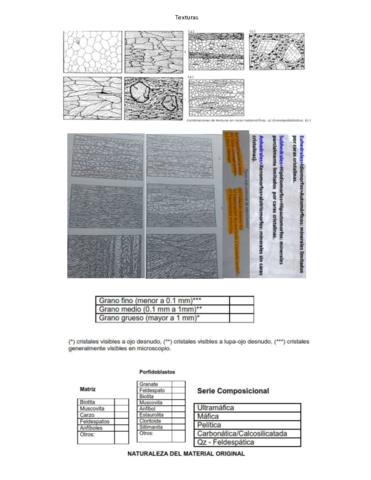 Texturasymineralesderocasmetamorficas.pdf