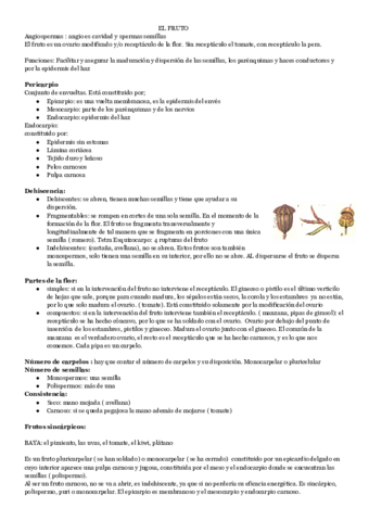 EL-FRUTO-1.pdf