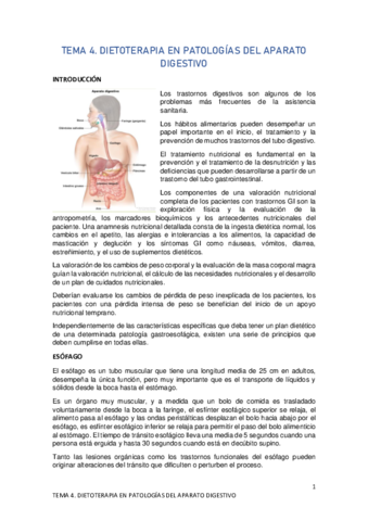TEMA-4.pdf
