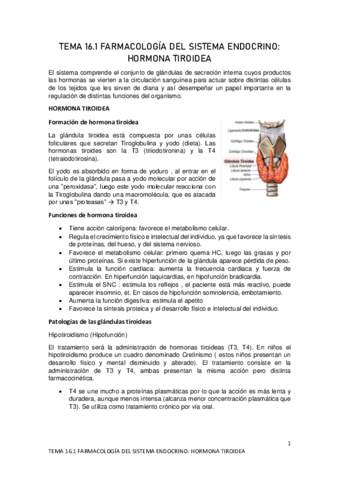 TEMA-16.pdf