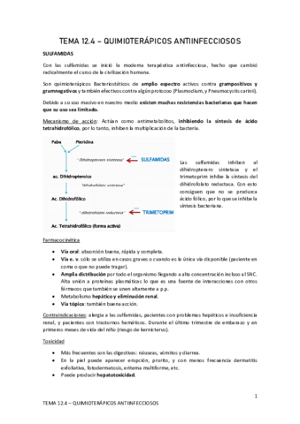 TEMA-12.pdf