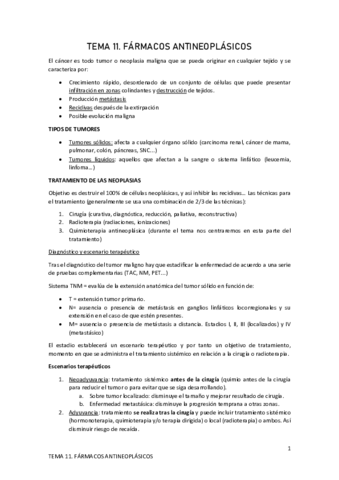 TEMA-11.pdf