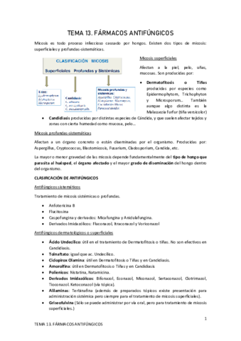 TEMA-13.pdf
