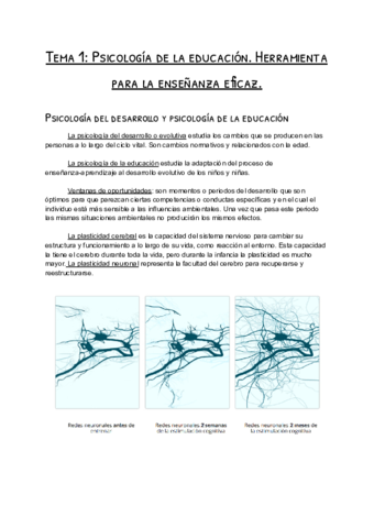 Apuntes-tema-1.pdf