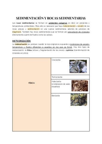 SEDIMENTACION-Y-ROCAS-SEDIMENTARIAS-1.pdf