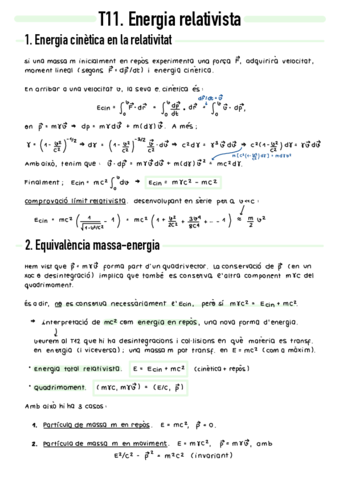 T11-Energia-relativista.pdf