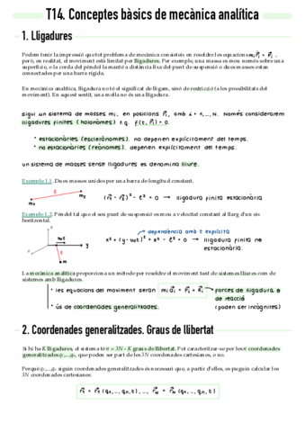 T14-Conceptes-basics-de-mecanica-analitica.pdf