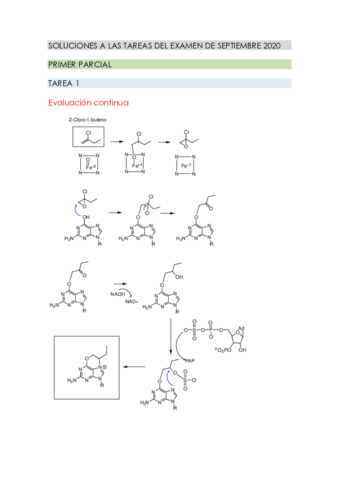 SOLUCIONES-A-LAS-TAREAS-DEL-EXAMEN-DE-SEPTIEMBRE-2020.pdf