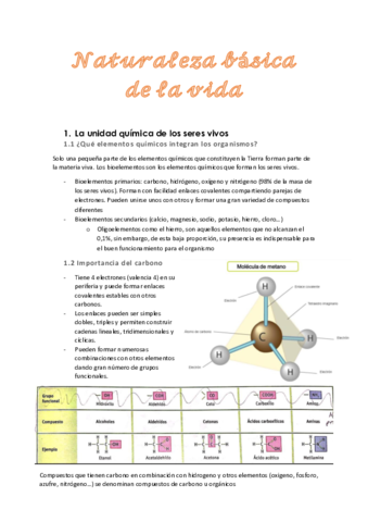 1NaturalezaDeLaVida.pdf