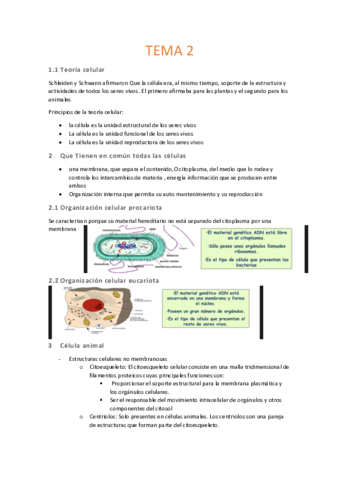 2Organizacioncelular.pdf